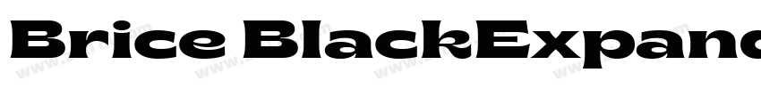 Brice BlackExpanded字体转换